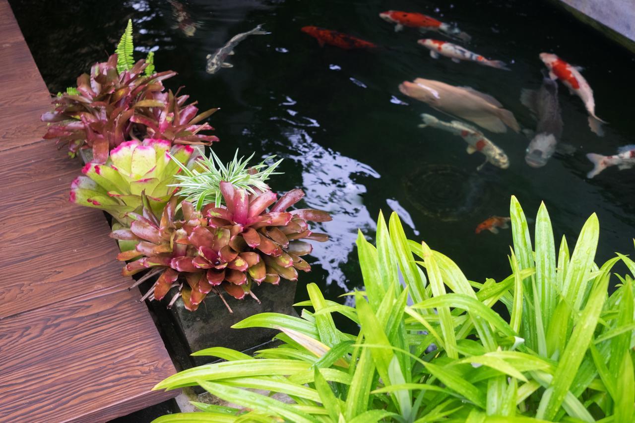Just Fine Krabi Bed & Breakfast Exterior photo